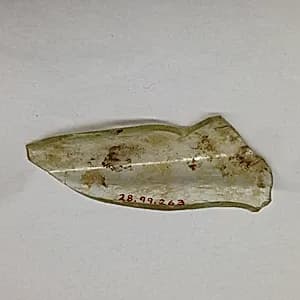 Fragment by Unknown Artist