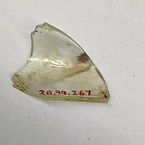 Fragment by Unknown Artist