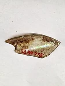 Fragment by Unknown Artist