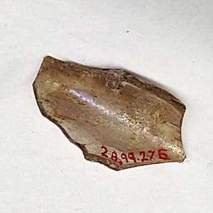 Fragment by Unknown Artist