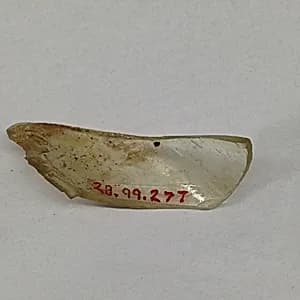 Fragment by Unknown Artist
