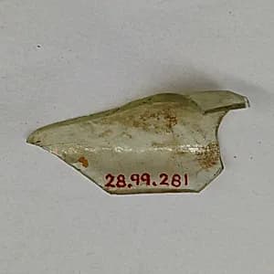 Fragment by Unknown Artist