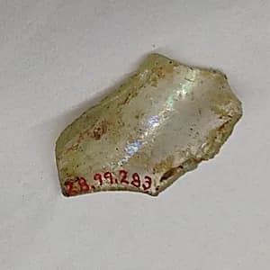 Fragment by Unknown Artist