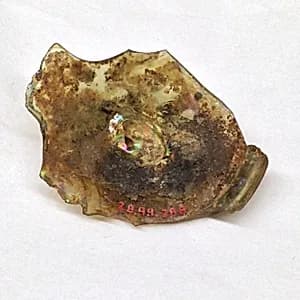 Fragment by Unknown Artist