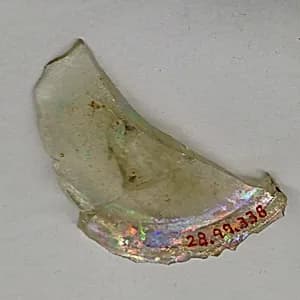 Fragment by Unknown Artist