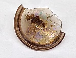 Fragment by Unknown Artist