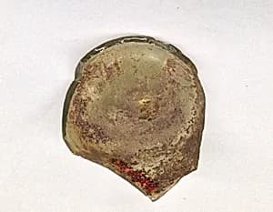 Fragment by Unknown Artist