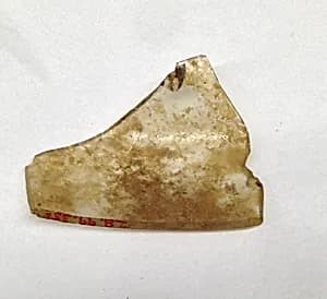 Fragment by Unknown Artist