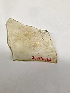 Fragment by Unknown Artist