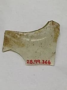 Fragment by Unknown Artist