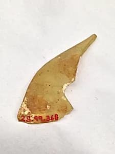 Fragment by Unknown Artist