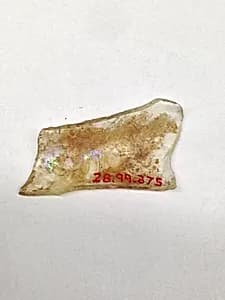 Fragment by Unknown Artist