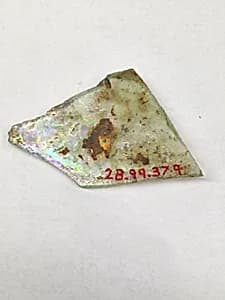 Fragment by Unknown Artist