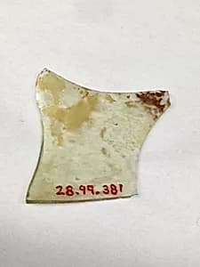 Fragment by Unknown Artist
