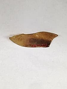 Fragment by Unknown Artist