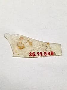 Fragment by Unknown Artist