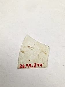 Fragment by Unknown Artist