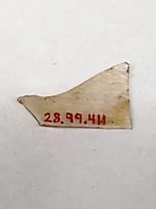 Fragment by Unknown Artist