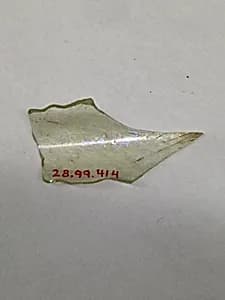 Fragment by Unknown Artist
