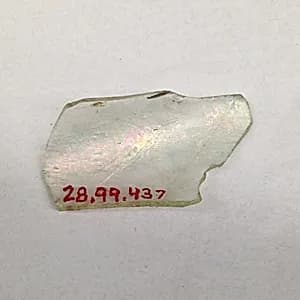 Fragment by Unknown Artist