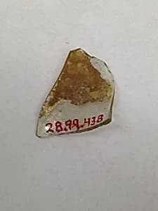 Fragment by Unknown Artist