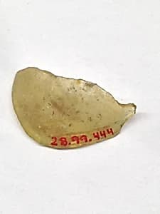 Fragment by Unknown Artist