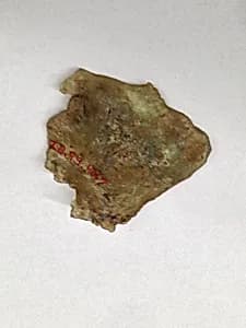 Fragment by Unknown Artist