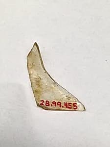 Fragment by Unknown Artist