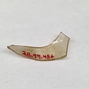 Fragment by Unknown Artist