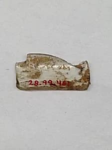 Fragment by Unknown Artist