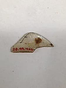 Fragment by Unknown Artist