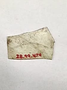 Fragment by Unknown Artist