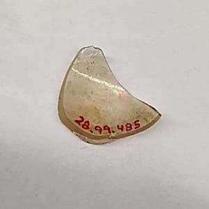 Fragment by Unknown Artist