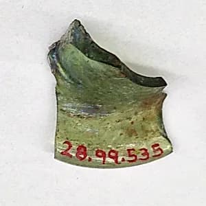 Fragment by Unknown Artist