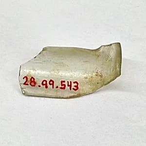 Fragment by Unknown Artist