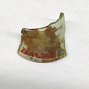 Fragment by Unknown Artist