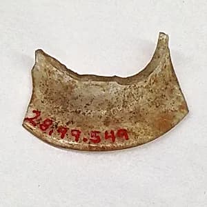 Fragment by Unknown Artist