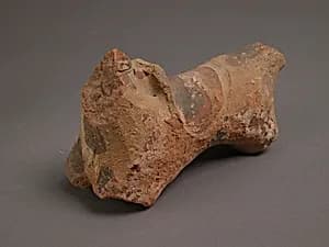 Fragment of a Horse by Unknown Artist