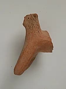 Fragment of an Animal by Unknown Artist