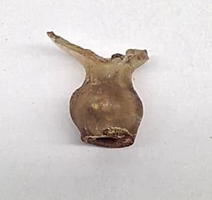 Fragment of Flask Necks by Unknown Artist
