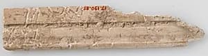 Fragment of Molding by Unknown Artist