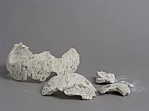 Fragments of a Male Head by Unknown Artist