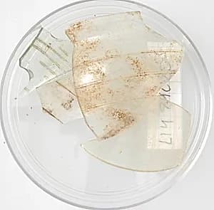 Glass Fragments by Unknown Artist