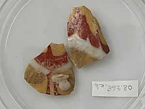 Glass Fragments by Unknown Artist