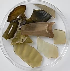 Glass Fragments by Unknown Artist