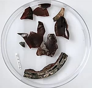 Glass Fragments by Unknown Artist