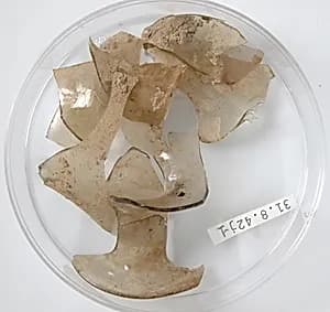 Glass Fragments by Unknown Artist