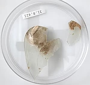 Glass Fragments by Unknown Artist