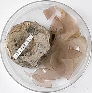 Glass Fragments by Unknown Artist