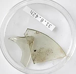 Glass Fragments by Unknown Artist